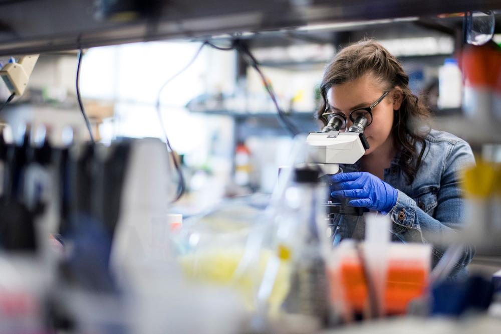 NASA'S MICHIGAN SPACE GRANT CONSORTIUM FELLOWSHIP OPPORTUNITIES